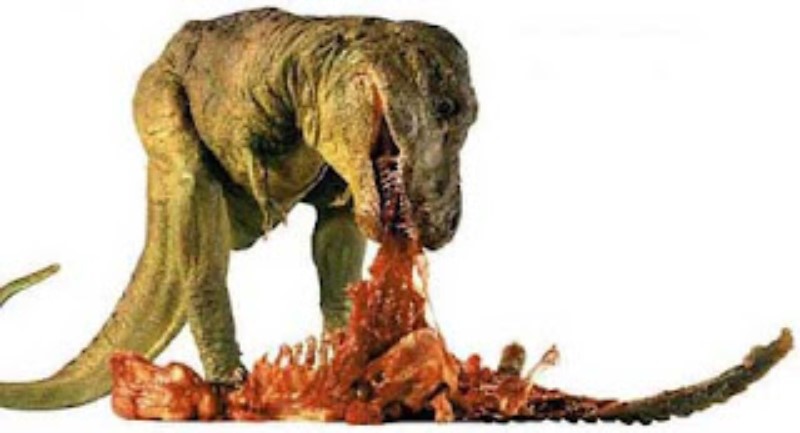 Differences between the Rex and other carnivorous dinosaurs