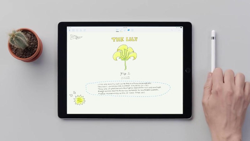Os melhores aplicativos para fazer anotações no iPad