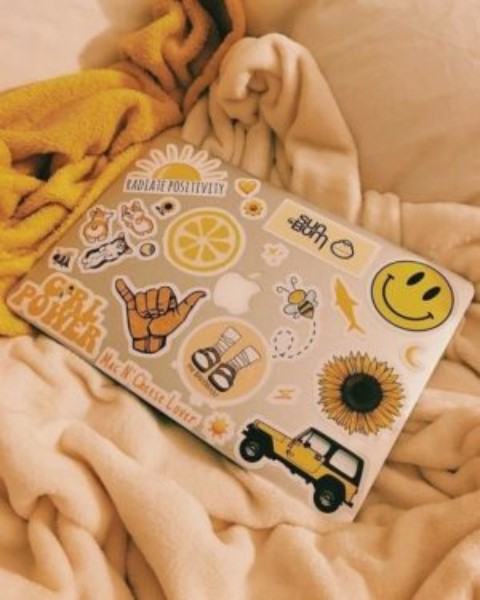 Los mejores stickers de monos para decorar tu laptop
