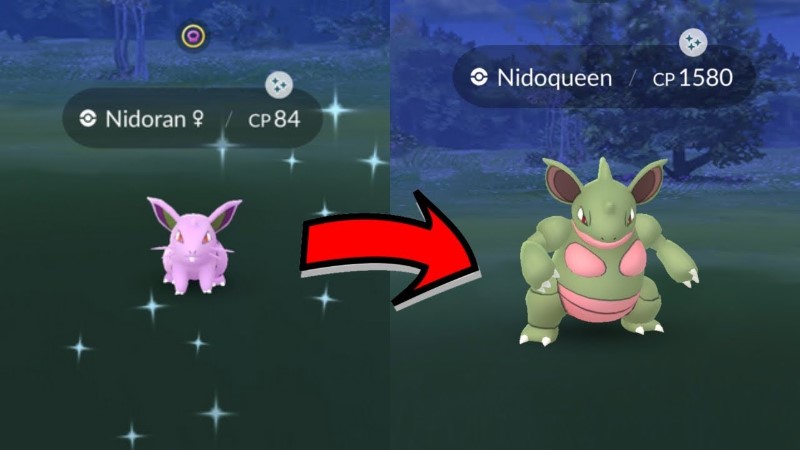 Nidoran dans Pokémon GO