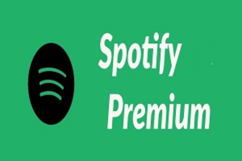 Risolvi i problemi comuni durante l'utilizzo dell'APK Spotify Premium
