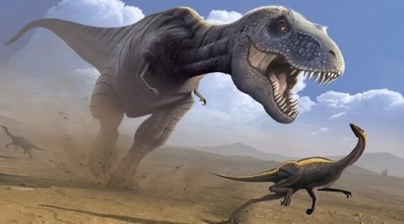 Theories about the extinction of the Rex and other dinosaurs